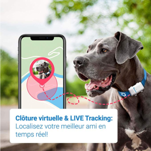 Meilleur Tracker GPS pour chien - Guide de l'acheteur