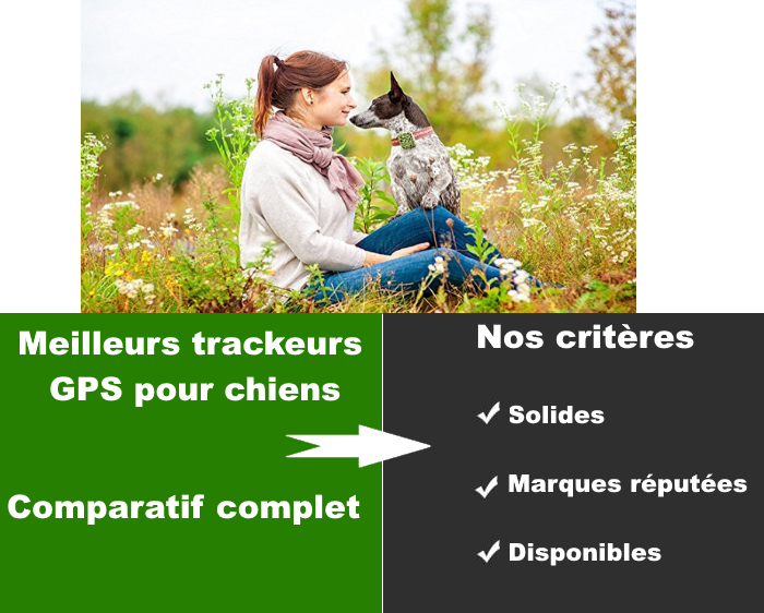 You are currently viewing Meilleur Tracker GPS pour chien – Guide de l’acheteur