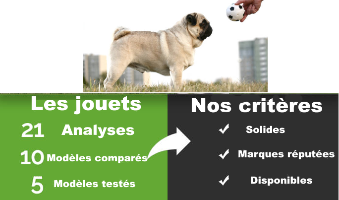 You are currently viewing Les 5 meilleurs jouets pour chiens pas chers