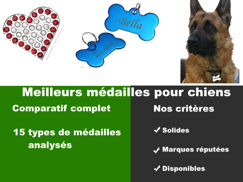 You are currently viewing Meilleures médailles pour chien