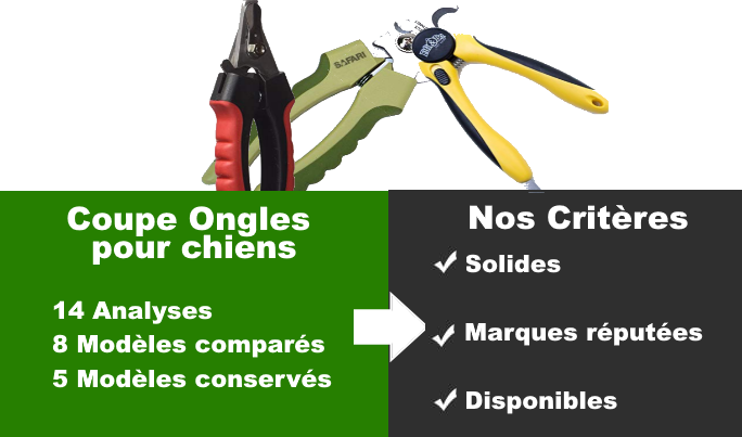 You are currently viewing Meilleur coupe ongles pour chien